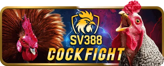 Tải ứng dụng VN23 trên di động